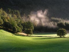 PICT0225.JPG