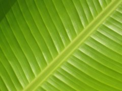 IMG_0060.jpg