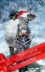 xmas05.jpg