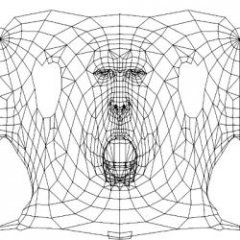 TN_face_wire.JPG