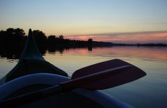 DSC03872_mini.jpg