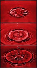 bloody.jpg