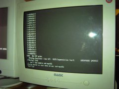 PICT1373.jpg