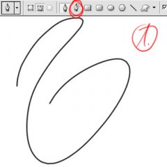 spline_01.jpg