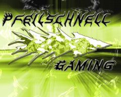 pfeilschnellgaming.jpg