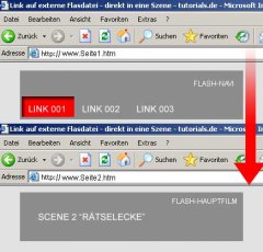 FLASH.jpg