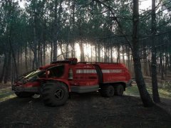 ProTruck2.jpg