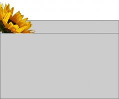 25620attachment.jpg