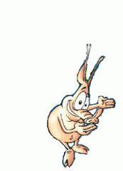 pig beta 0.2.gif