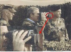 bush.jpg