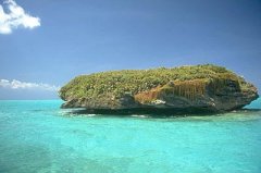 bahamas.jpg