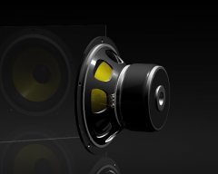 Fertiger woofer visaton23.jpg
