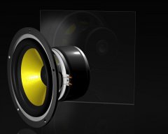 Fertiger woofer visaton2.jpg