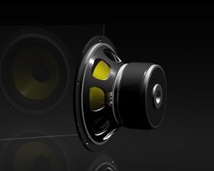 Fertiger woofer visaton232.jpg