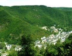 bild1.jpg