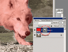 7.gif