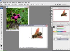 exempelphotoshp.jpg