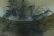 smoke.jpg