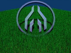 grass.jpg