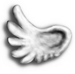 fluegel deluxe Kopie.jpg