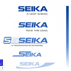 SEIKO coaching Kopie.jpg