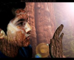 Becoming a Tree mit supersonne.jpg Becoming a Tree mit supersonne.jpg
