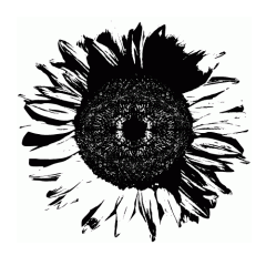 vektor_sonnenblume_s-w.gif