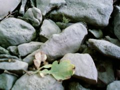 SP_A0030.jpg