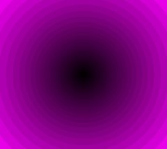 test.jpg