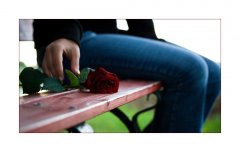 Red_Rose_small.jpg