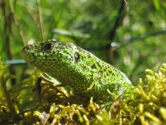 IMG_0172.JPG