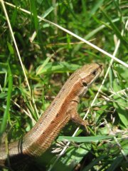 IMG_0264.JPG