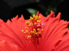 IMG_5924.jpg