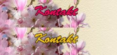 kontakt.jpg