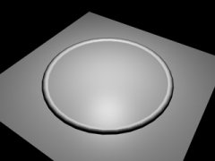 ring.jpg
