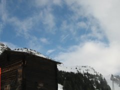 IMG_9451.jpg