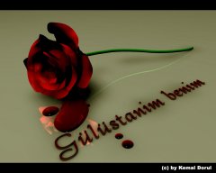 gül.jpg