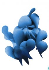 tropfen.jpg