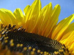 IMG_0014.JPG