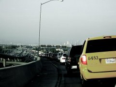 CIMG2004_contr_pic.jpg