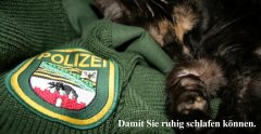 Kopie von Polizei_Schlaf.jpg