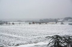 schnee.jpg