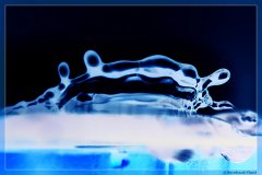 waterdrop_1132342021.jpg