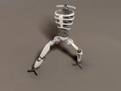 Robotest.jpg