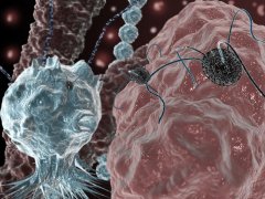 Virus schlechter.jpg