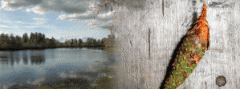 test.gif