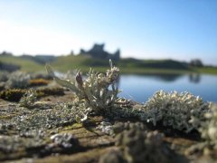 IMG_0787.jpg