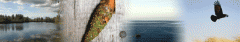 test.gif