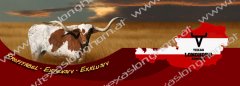 website-logo2_watermark.jpg