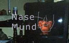 gesicht.jpg